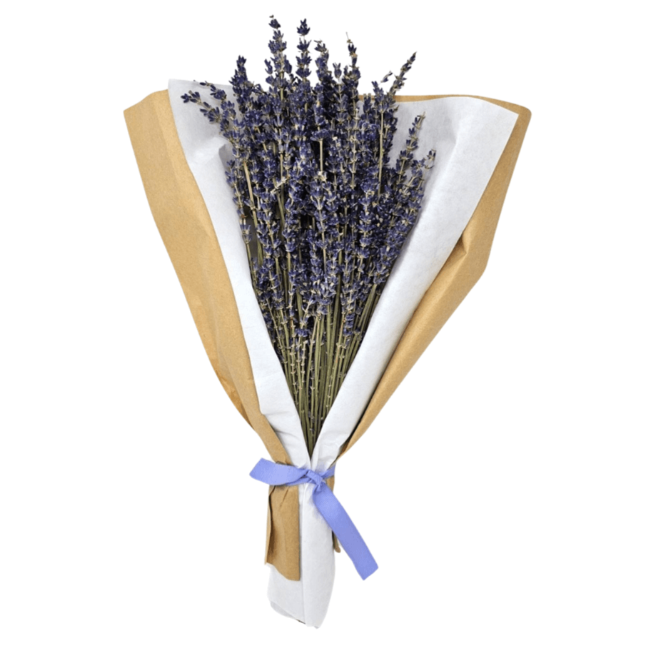 Dried Lavender Bundle