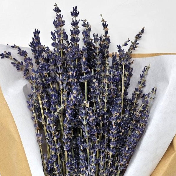 Dried Lavender Bundle