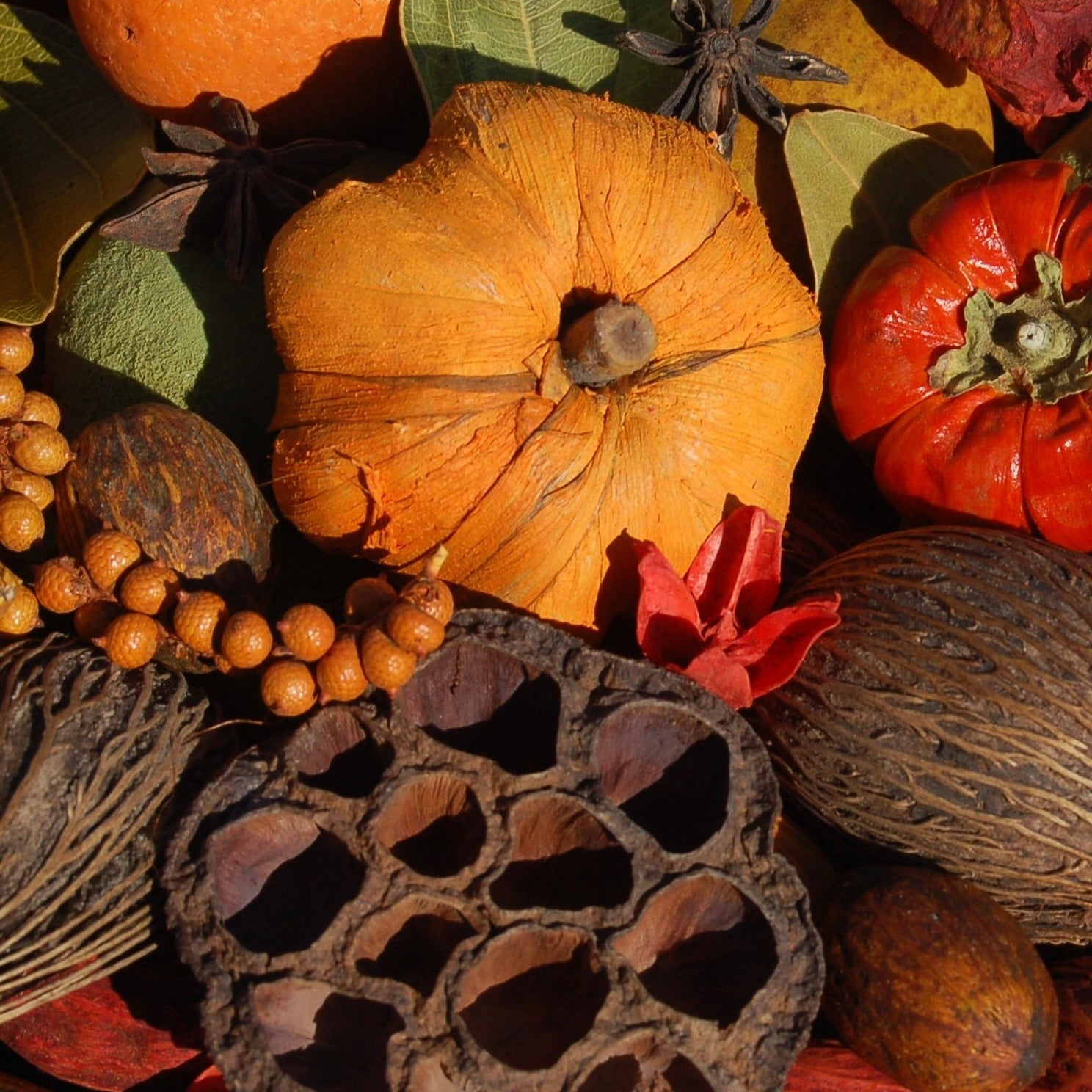 Pumpkin Potpourri Bag Tester, 20oz.