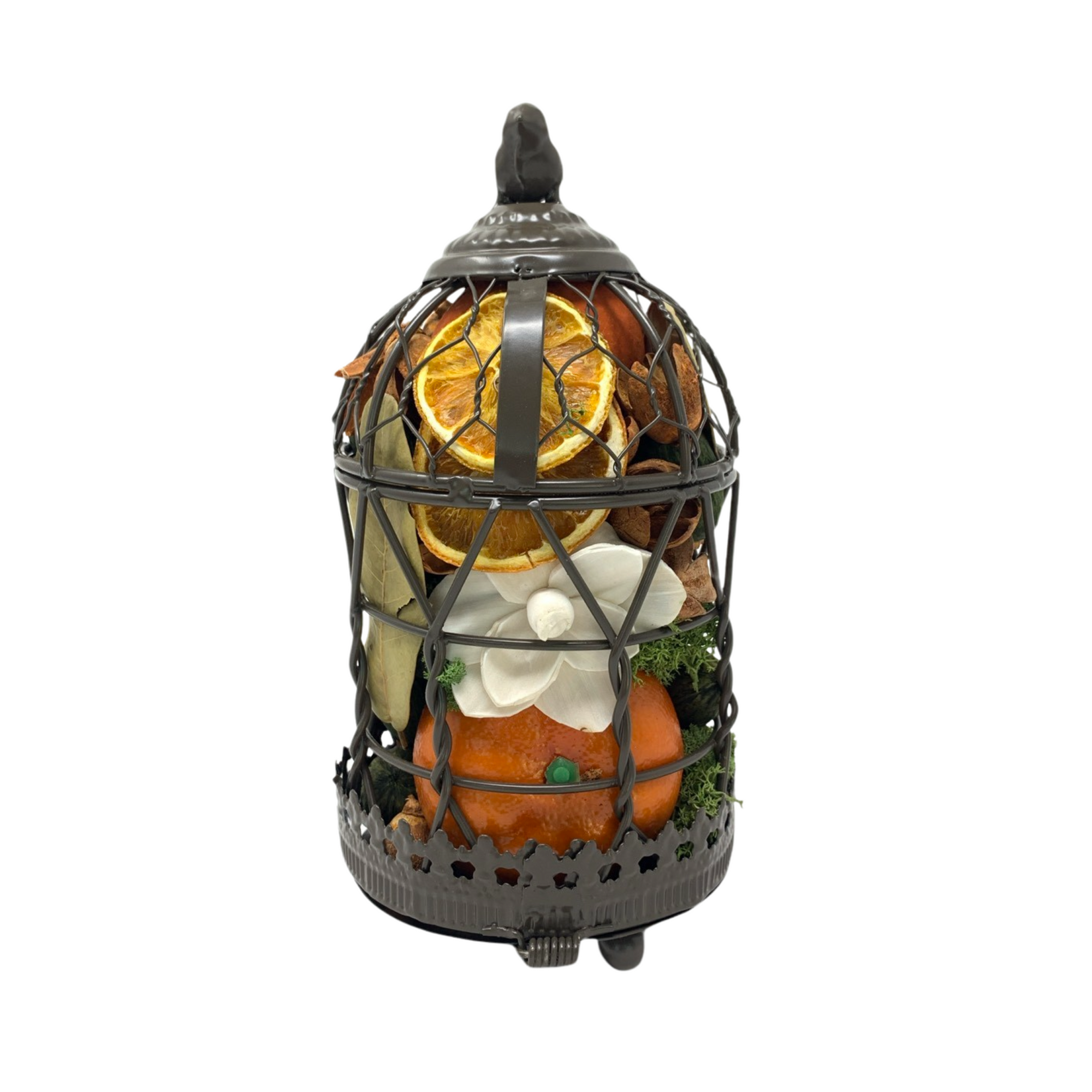 Blood Orange Bird Cage, 4" x 8"