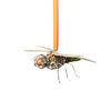 Blood Orange Dragonfly, 7.5"