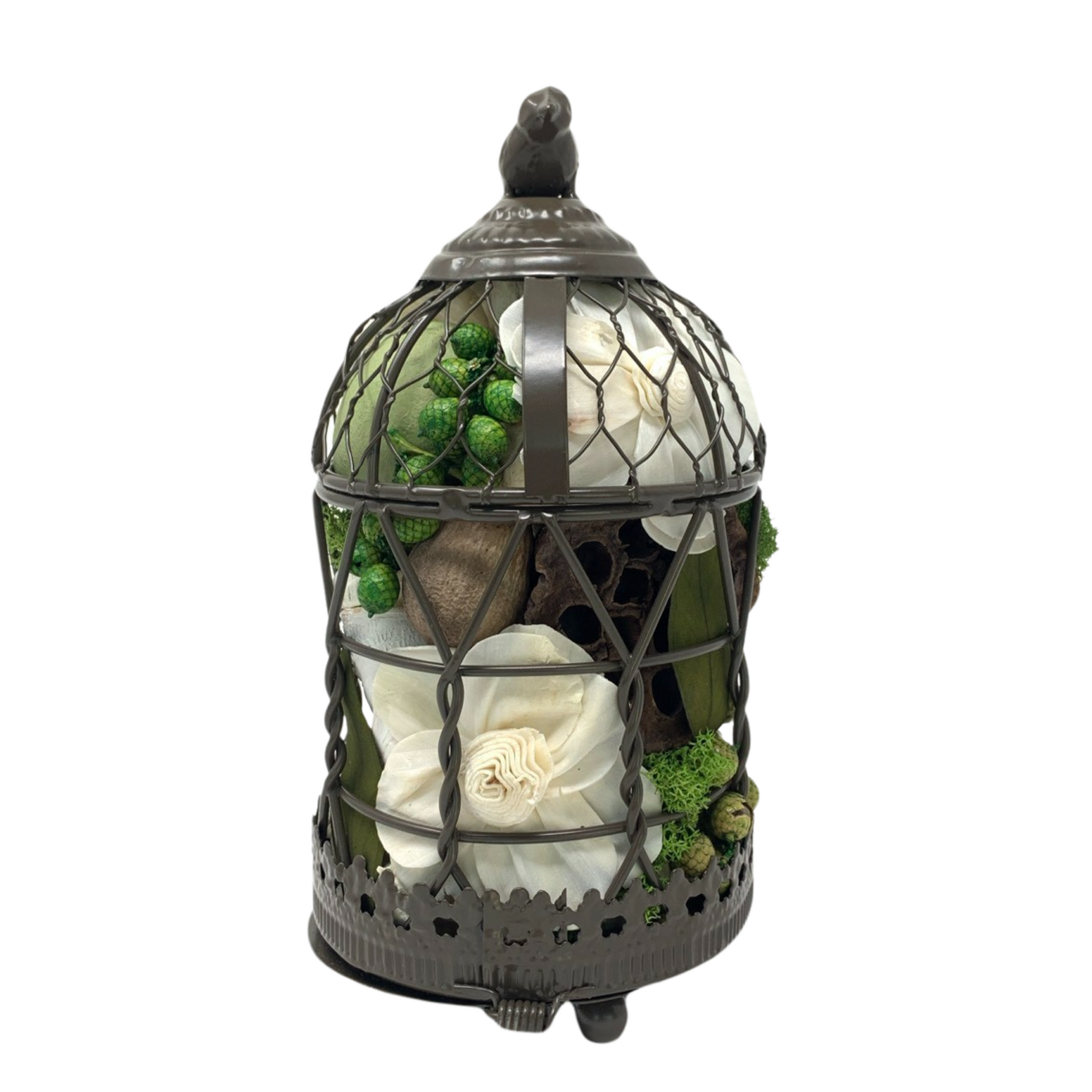 Verbena Bird Cage, 4" x 8"